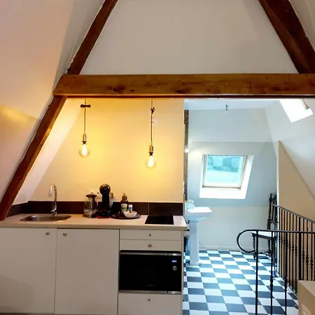 Manoir De Barbotin Appartement *